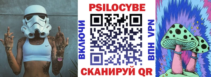 blacksprut ССЫЛКА  Кашира  Галлюциногенные грибы Psilocybe  хочу  