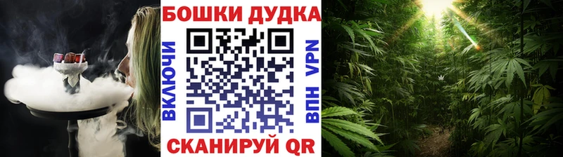 Шишки марихуана марихуана Кашира