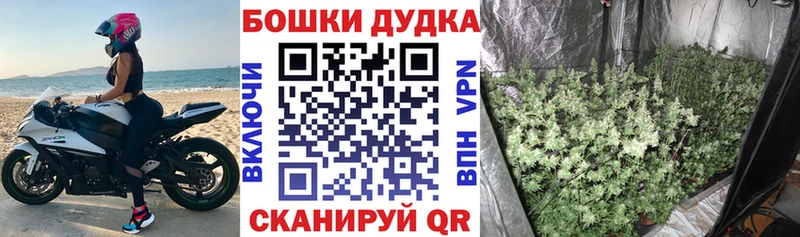 Каннабис Bruce Banner  Кашира 